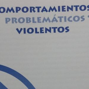 Folleto Comportamientos problemáticos y violentos
