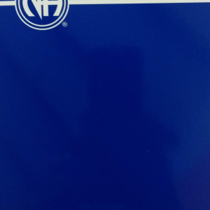 Texto básico (libro azul)