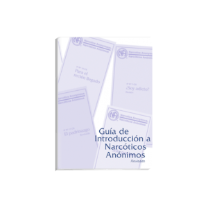 Guía de Introducción a N.A